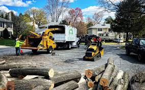 Best Lawn Pest Prevention  in Edgemere, MD